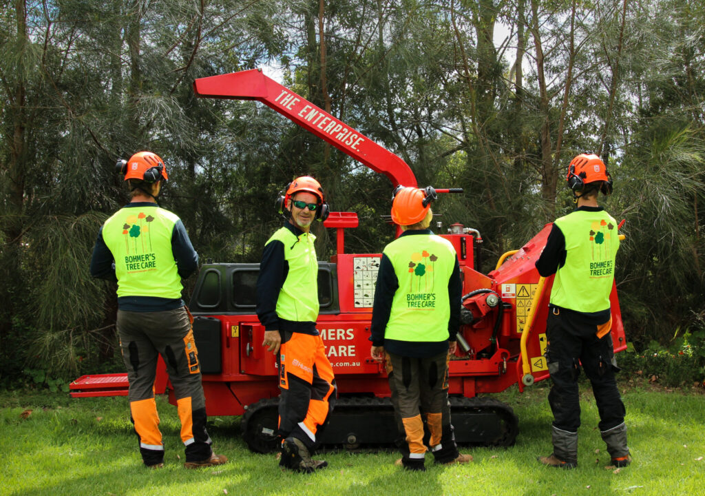 bohmers tree care