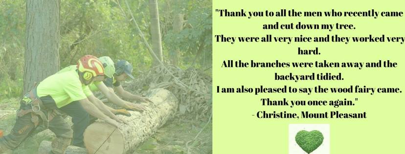 bohmers tree care