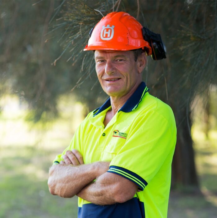 CLIVE BOHMER BOHMER'S TREE CARE